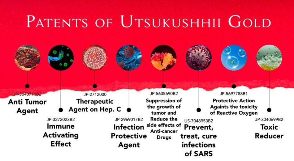 This image has an empty alt attribute; its file name is patent-utshu.jpeg
